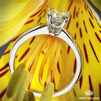 3668_Sierra-Solitaire-Engagement Ring-in-Platinum-by-Whiteflash_37065_g.jpg